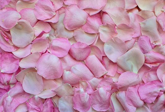 Pure Rose Water Benefits