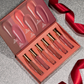 Lip Gloss-Nude Color Set of 6 | Farmasi