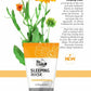 Calendula Sleeping Mask | Dr. C. Tuna | Farmasi