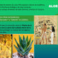 Aloe Vera Cream - Dr. C. Tuna | Farmasi