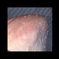 Peeling Salt for Hand & Foot | Dr. C. Tuna | Farmasi